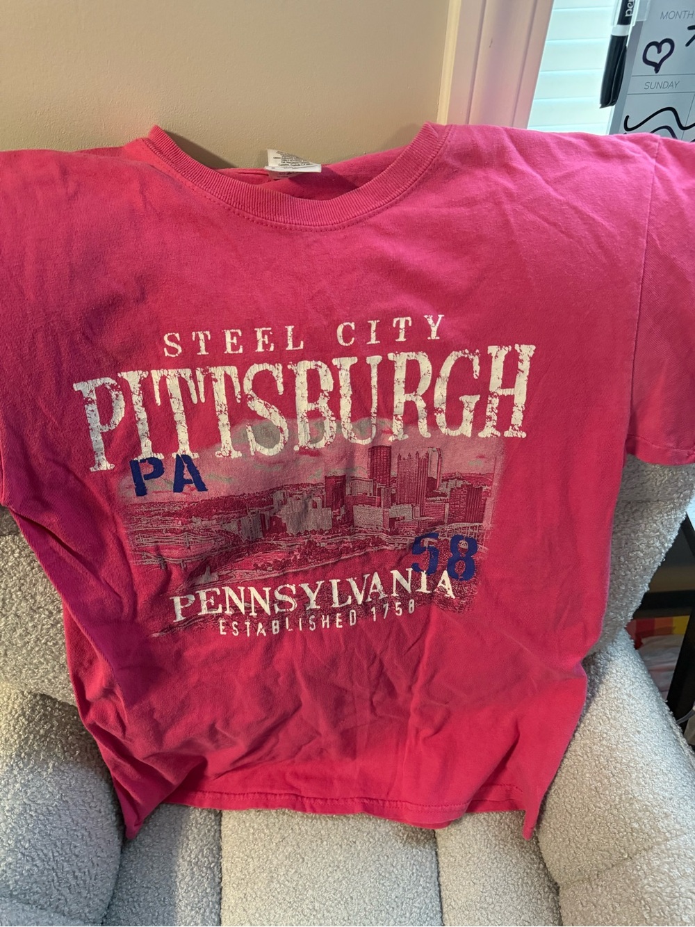 Pittsburgh Steel City women T‑Shirt in Pink